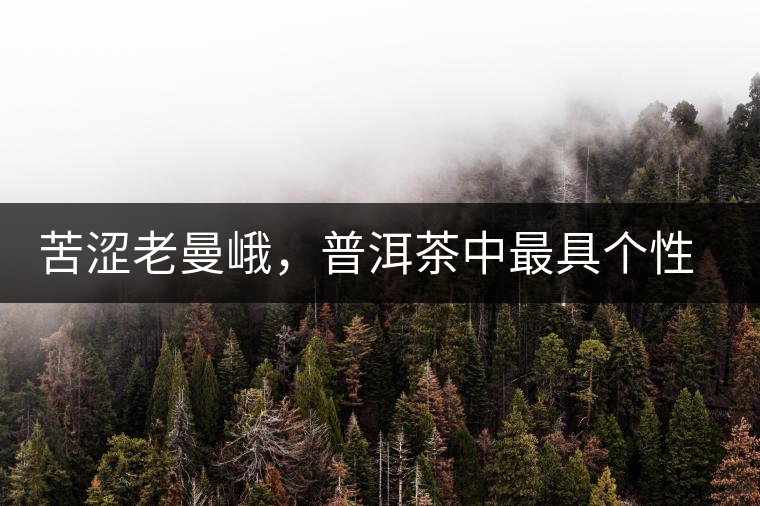 苦澀老曼峨，普洱茶中最具個(gè)性的“布朗味”苦澀老曼峨，普洱茶中最具個(gè)性的“布朗味”