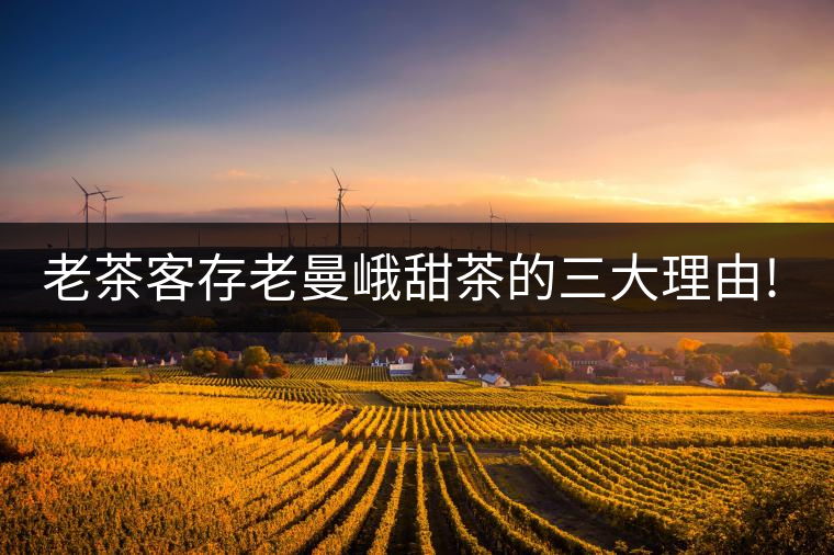 老茶客存老曼峨甜茶的三大理由!老茶客存老曼峨甜茶的三大理由！