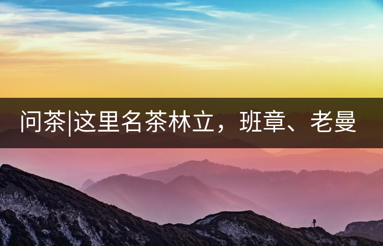 問茶|這里名茶林立，班章、老曼峨皆在其列!問茶｜這里名茶林立，班章、老曼峨皆在其列！