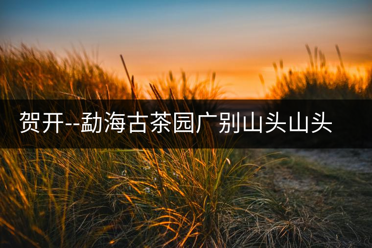 賀開--勐海古茶園廣別山頭山頭茶|德禪一稟茶百科賀開——勐海古茶園廣別山頭山頭茶|德禪一稟茶百科 賀開--勐海古茶園廣別山頭山頭茶|德禪一稟茶百科賀開——勐海古茶園廣別山頭山頭茶|德禪一稟茶百科