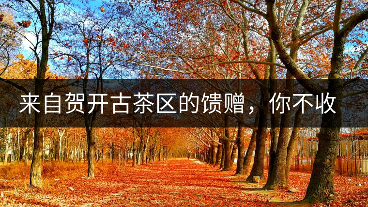 來自賀開古茶區(qū)的饋贈，你不收一波嗎?來自賀開古茶區(qū)的饋贈，你不收一波嗎？