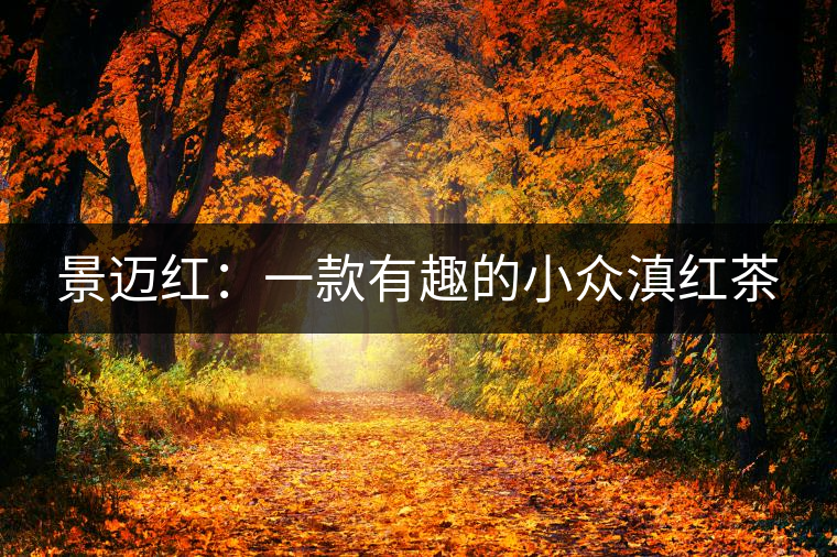 景邁紅：一款有趣的小眾滇紅茶