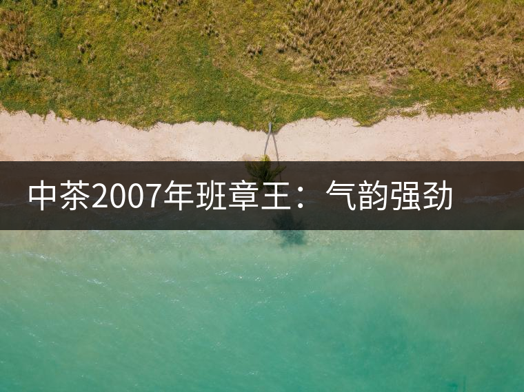 中茶2007年班章王：氣韻強勁，蜂蜜水般甜潤，一直被老茶客撿漏