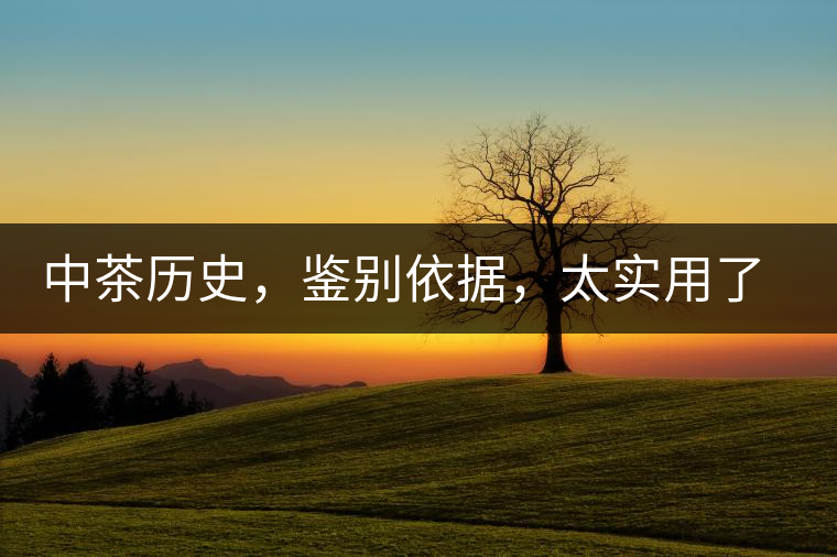 中茶歷史，鑒別依據(jù)，太實用了中茶歷史，鑒別依據(jù)，太實用了