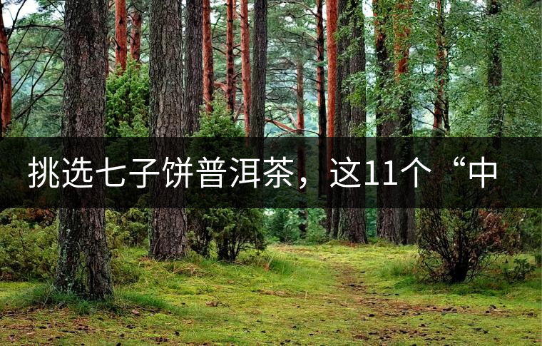 挑選七子餅普洱茶，這11個“中茶”標(biāo)志千萬別弄混!挑選七子餅普洱茶，這11個“中茶”標(biāo)志千萬別弄混！