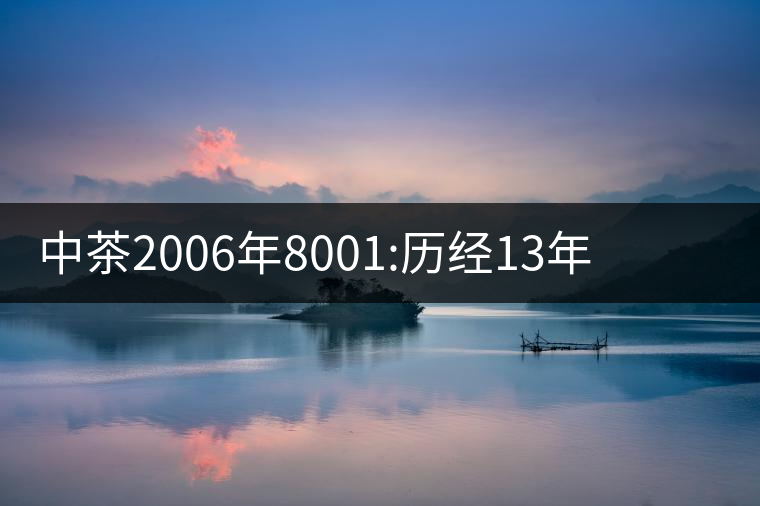 中茶2006年8001:歷經13年陳，中茶“紅印圓茶”經典再現