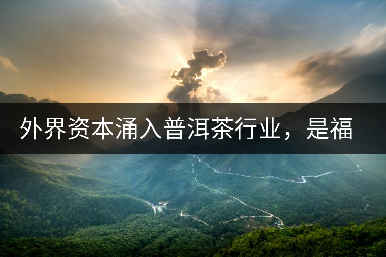 外界資本涌入普洱茶行業(yè)，是福還是禍？