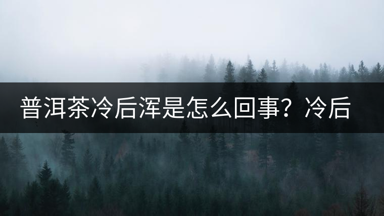 普洱茶冷后渾是怎么回事？冷后渾的普洱茶品質(zhì)好不好？