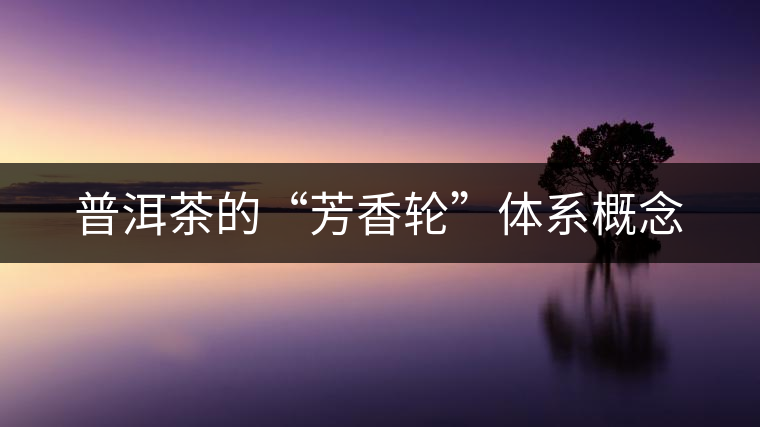 普洱茶的“芳香輪”體系概念 普洱茶的“芳香輪”體系概念