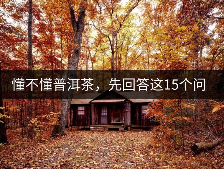 懂不懂普洱茶，先回答這15個(gè)問(wèn)題試試？