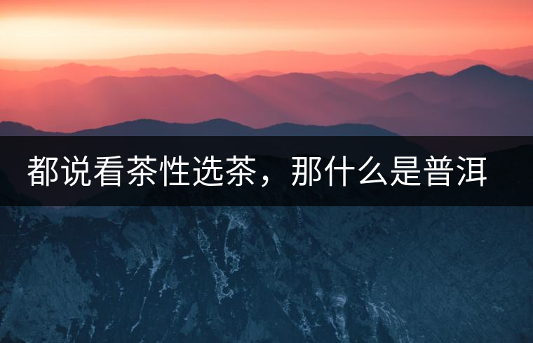 都說看茶性選茶，那什么是普洱茶的“茶性”呢？