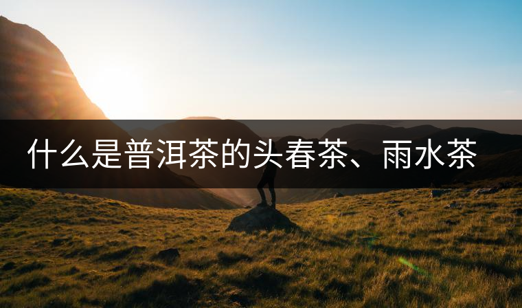什么是普洱茶的頭春茶、雨水茶和谷花茶，怎樣區(qū)別？