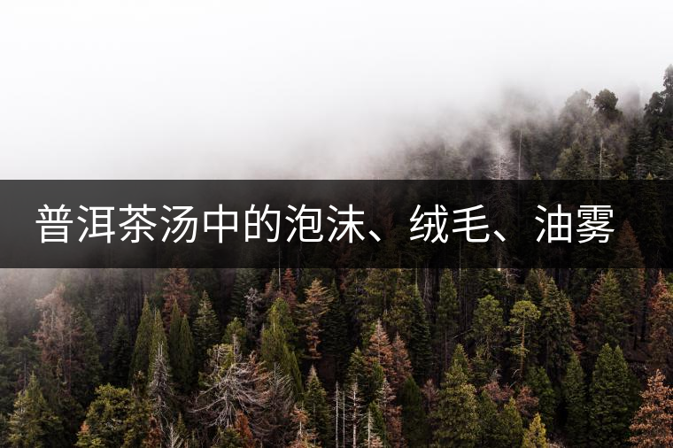 普洱茶湯中的泡沫、絨毛、油霧、絮狀物……原來是這些東西！