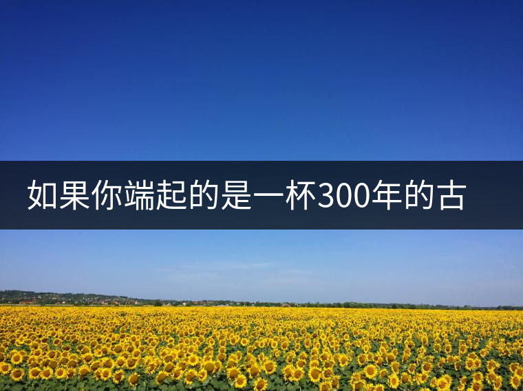 如果你端起的是一杯300年的古樹茶，那會(huì)是一種怎樣的心境？