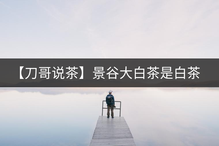 【刀哥說(shuō)茶】景谷大白茶是白茶還是普洱茶？
