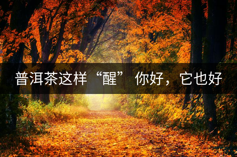 普洱茶這樣“醒” 你好，它也好