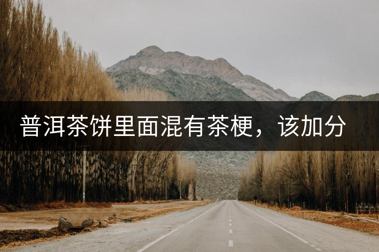 普洱茶餅里面混有茶梗，該加分還是減分？