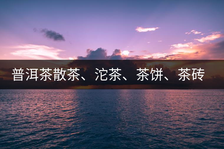 普洱茶散茶、沱茶、茶餅、茶磚哪種更好？