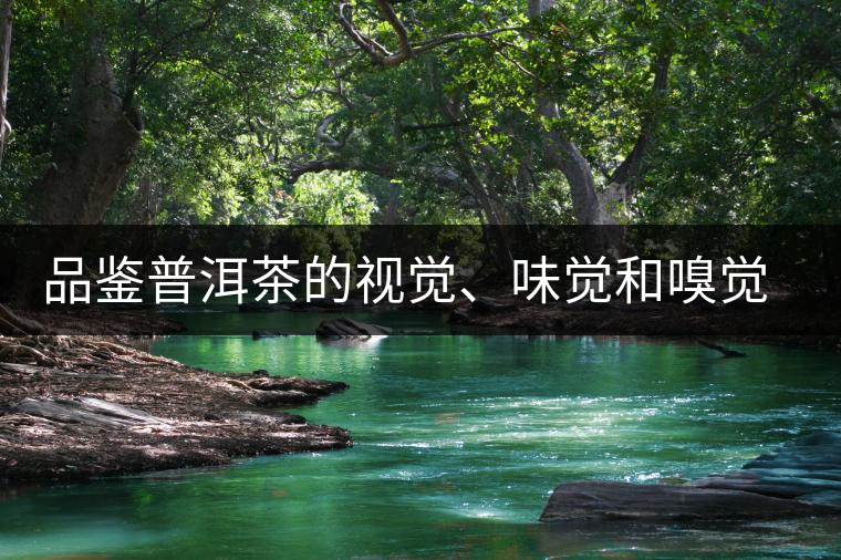 品鑒普洱茶的視覺、味覺和嗅覺指標 品鑒普洱茶的視覺、味覺和嗅覺指標