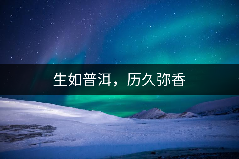 生如普洱，歷久彌香