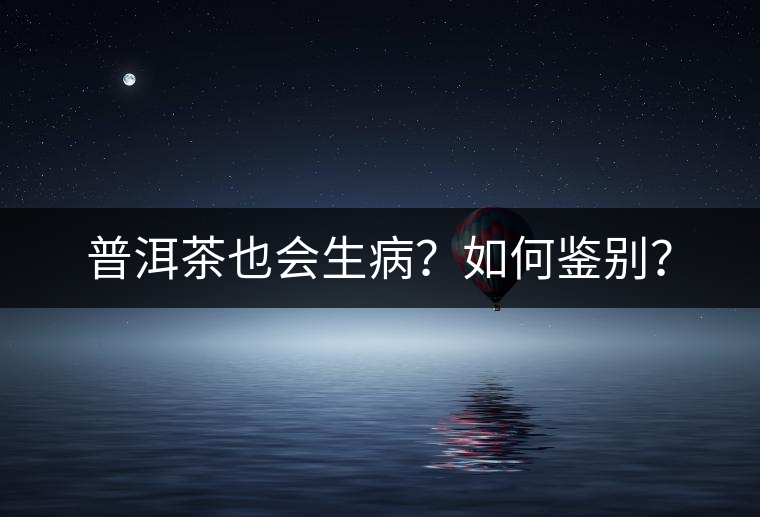 普洱茶也會生??？如何鑒別？