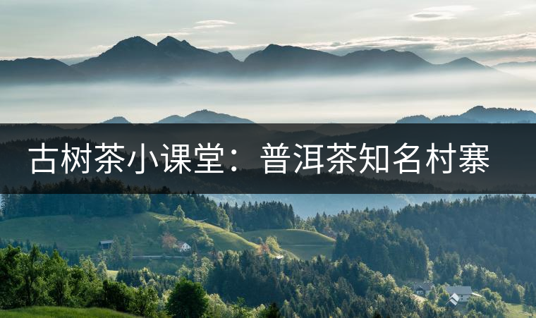 古樹(shù)茶小課堂：普洱茶知名村寨的生態(tài)環(huán)境如何？