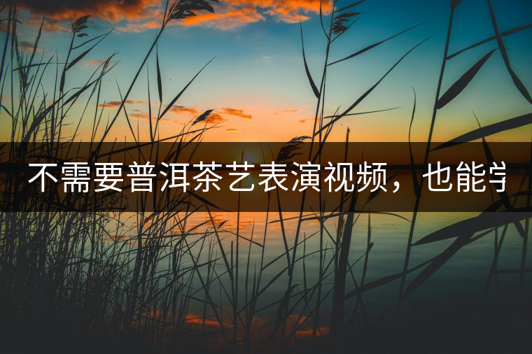 不需要普洱茶藝表演視頻，也能學(xué)會的茶藝！