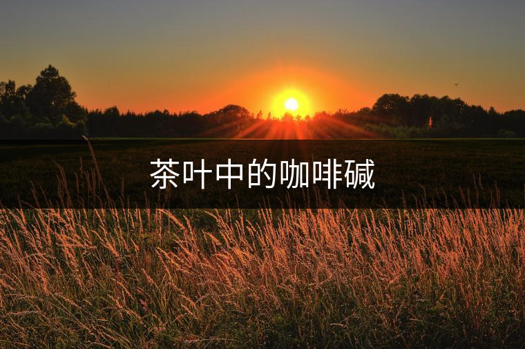 茶葉中的咖啡堿