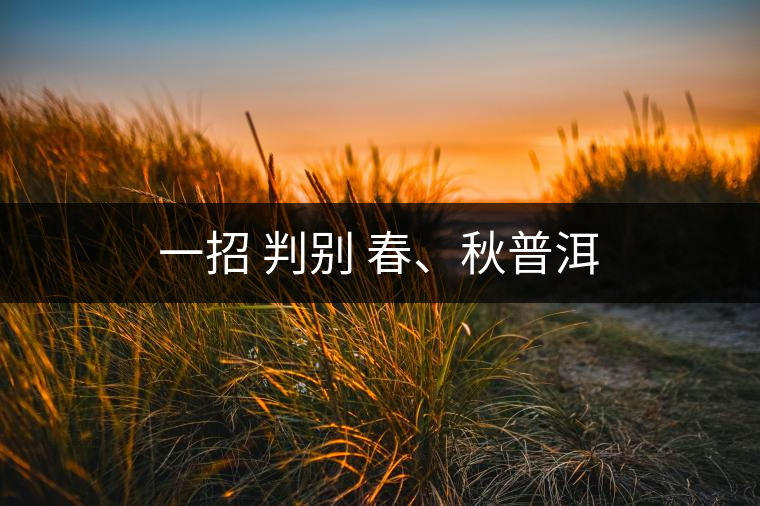 一招 判別 春、秋普洱