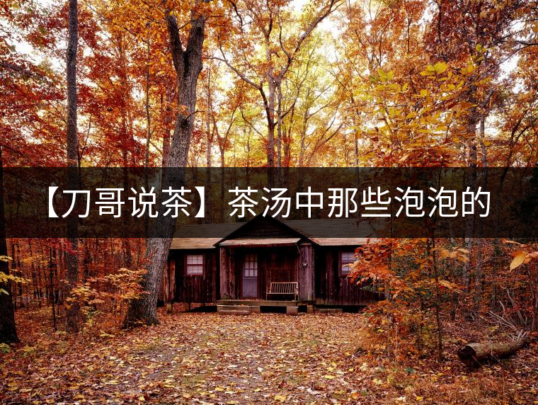 【刀哥說茶】茶湯中那些泡泡的始作俑者，茶皂素只是其中一個(gè)