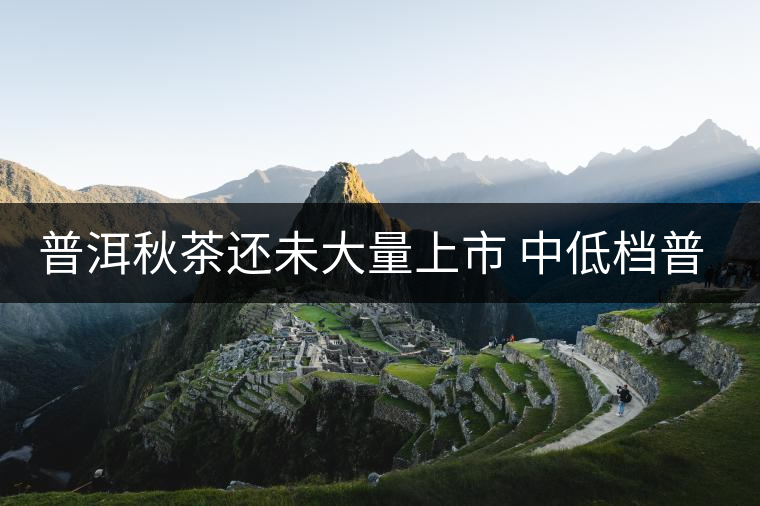 普洱秋茶還未大量上市 中低檔普洱同比價走高 普洱秋茶還未大量上市 中低檔普洱同比價走高