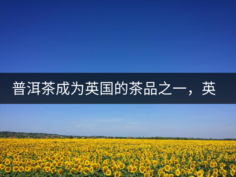 普洱茶成為英國的茶品之一，英國雜志給出7大理由