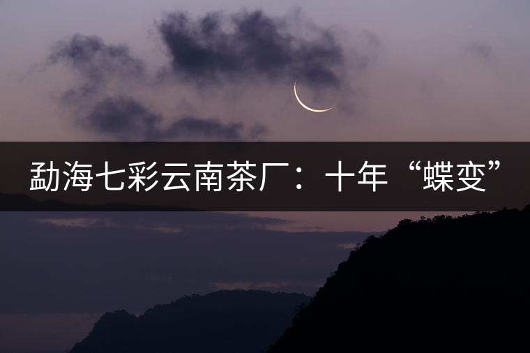 勐海七彩云南茶廠：十年“蝶變”