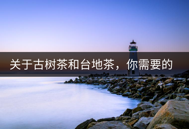 關于古樹茶和臺地茶，你需要的知識全在這里了