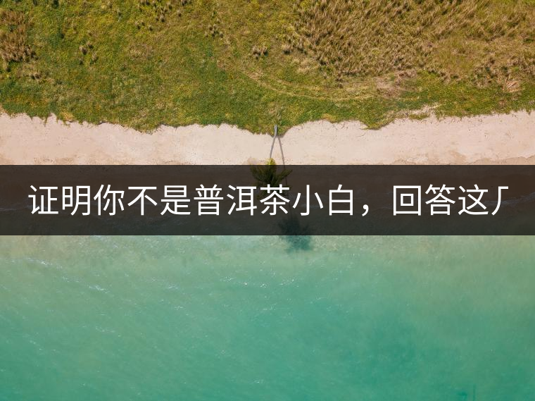 證明你不是普洱茶小白，回答這幾個問題先！