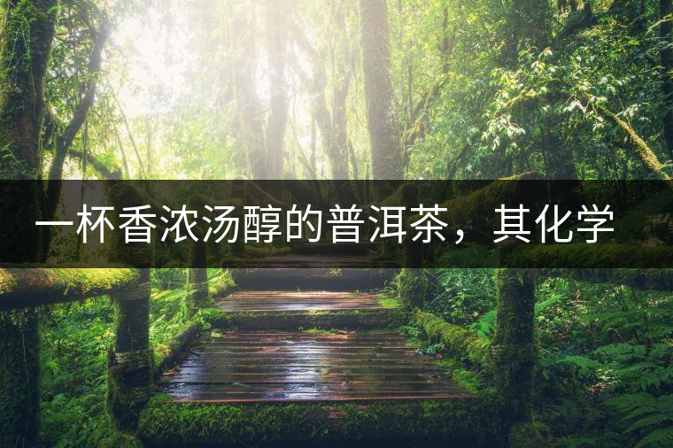 一杯香濃湯醇的普洱茶，其化學(xué)成分是怎樣的？
