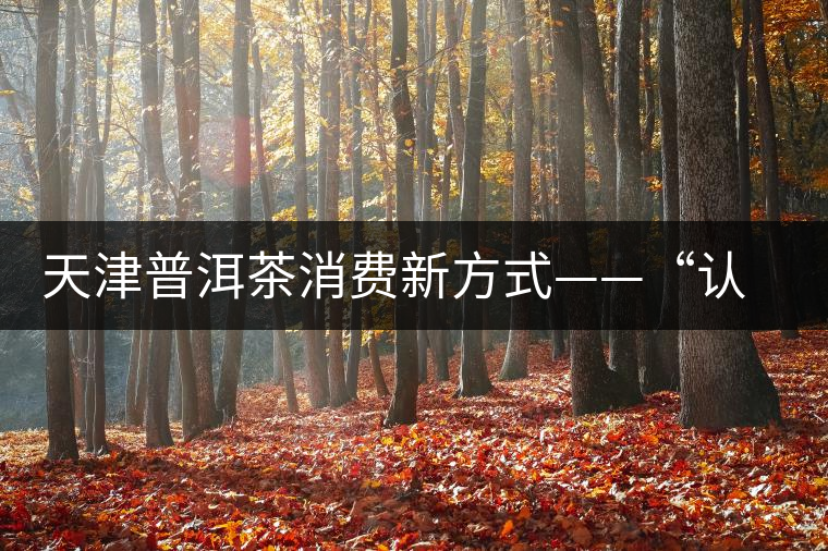 天津普洱茶消費(fèi)新方式——“認(rèn)養(yǎng)”勐海古茶樹 天津普洱茶消費(fèi)新方式——“認(rèn)養(yǎng)”勐海古茶樹