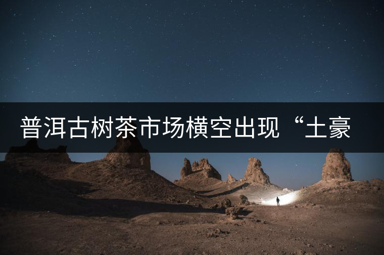 普洱古樹茶市場橫空出現“土豪”品牌