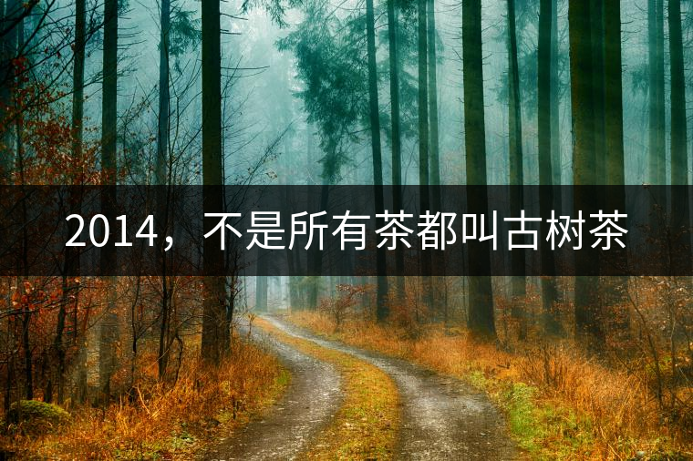 2014，不是所有茶都叫古樹茶