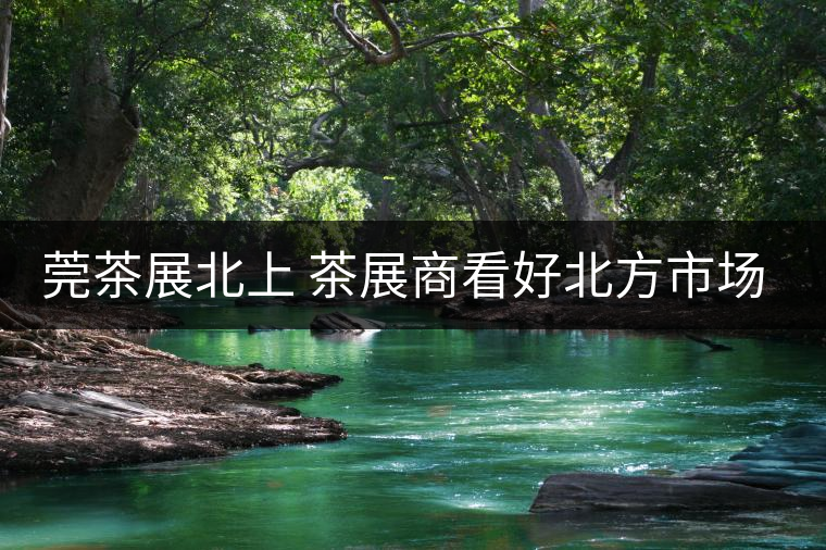 莞茶展北上 茶展商看好北方市場(chǎng)！