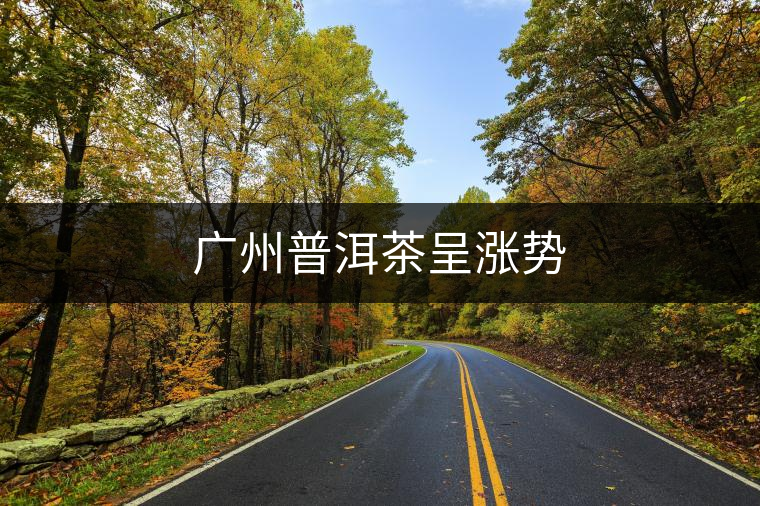 廣州普洱茶呈漲勢