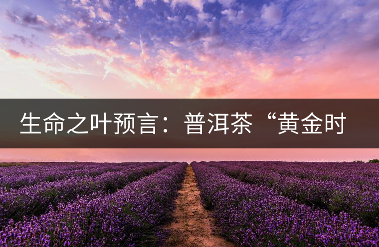 生命之葉預(yù)言：普洱茶“黃金時(shí)代”即將再度來臨