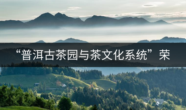 “普洱古茶園與茶文化系統(tǒng)”榮膺中國首批重要農業(yè)文化遺產 “普洱古茶園與茶文化系統(tǒng)”榮膺中國首批重要農業(yè)文化遺產