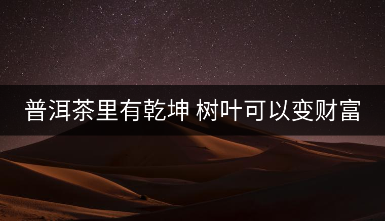 普洱茶里有乾坤 樹葉可以變財富 普洱茶里有乾坤 樹葉可以變財富