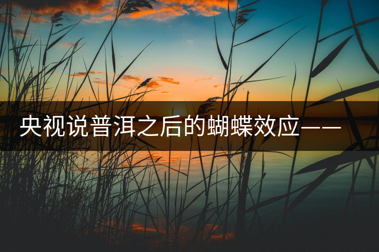 央視說(shuō)普洱之后的蝴蝶效應(yīng)——過(guò)度開(kāi)采會(huì)出現(xiàn)“死循環(huán)”？