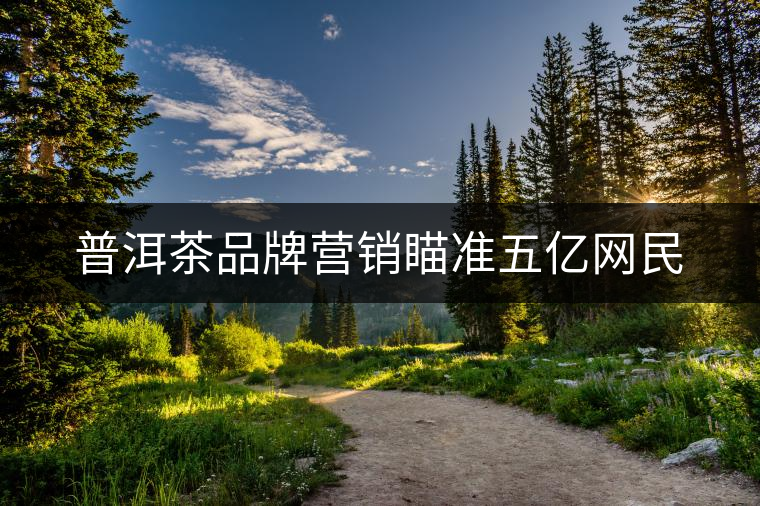 普洱茶品牌營銷瞄準五億網民 普洱茶品牌營銷瞄準五億網民