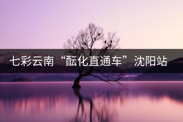 七彩云南“醞化直通車”沈陽(yáng)站現(xiàn)場(chǎng)多款經(jīng)典茶品獲好評(píng) 七彩云南“醞化直通車”沈陽(yáng)站現(xiàn)場(chǎng)多款經(jīng)典茶品獲好評(píng)