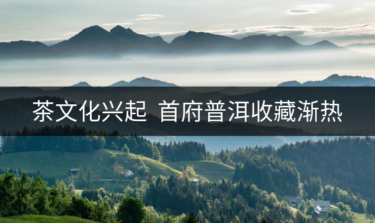 茶文化興起 首府普洱收藏漸熱 茶文化興起 首府普洱收藏漸熱