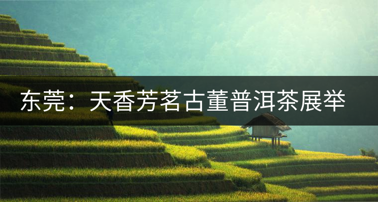 東莞:天香芳茗古董普洱茶展舉行 東莞:天香芳茗古董普洱茶展舉行