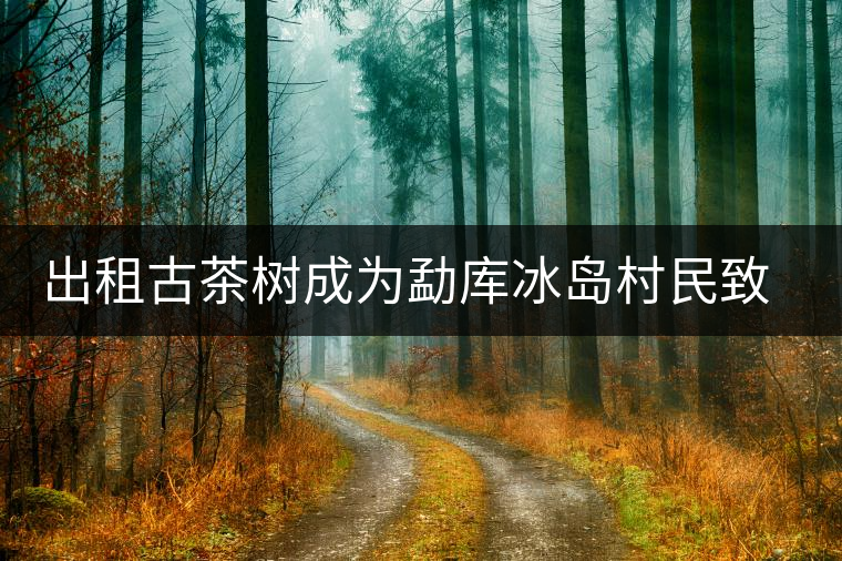 出租古茶樹成為勐庫冰島村民致富新行當(dāng) 出租古茶樹成為勐庫冰島村民致富新行當(dāng)